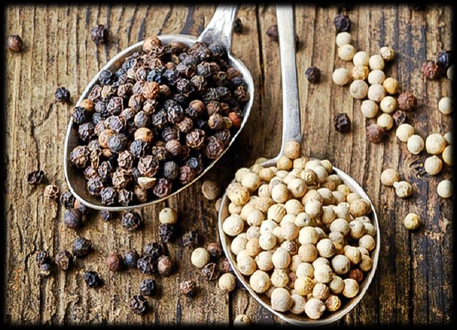 Our Premium Pepper Selection